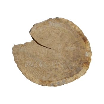 Plaster Dębowy 45x41x5cm Dąb