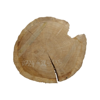 Plaster Dębowy 43x41x5cm Dąb
