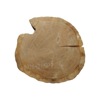 Plaster Dębowy 42x42x5cm Dąb
