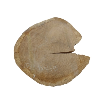 Plaster Dębowy 46x45x5cm Dąb