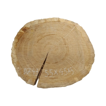 Plaster Dębowy 55x45x5cm Dąb