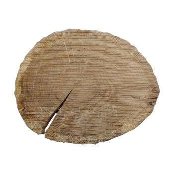 Plaster Dębowy 45x40x5cm Dąb