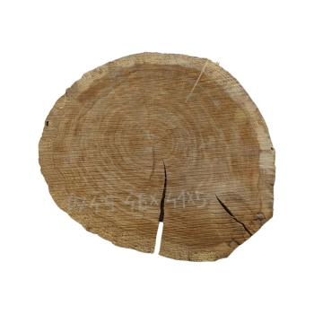 Plaster Dębowy 46x41x5cm Dąb