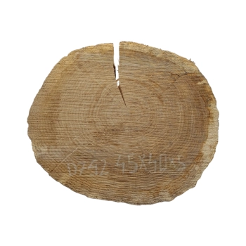 Plaster Dębowy 45x40x5cm Dąb