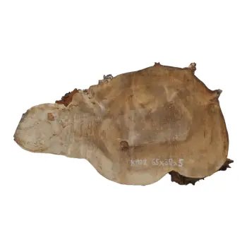 Plaster Kasztanowca 65x39x5cm