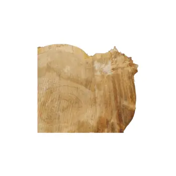 Plaster Kasztanowca 56x41x7cm