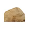 Plaster Kasztanowca 42x28x4cm