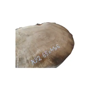 Plaster Kasztanowca 65x41x6cm