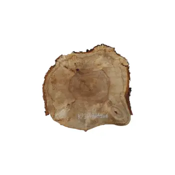 Plaster Kasztanowca 47x45x6cm