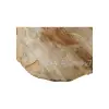 Plaster Kasztanowca 46x44x7,5cm