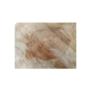 Plaster Kasztanowca 46x44x7,5cm