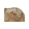 Plaster Kasztanowca 42x41x5cm