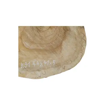 Plaster Kasztanowca 44x41x5cm