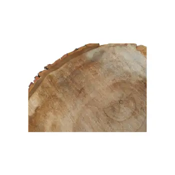 Plaster Kasztanowca 44x41x5cm