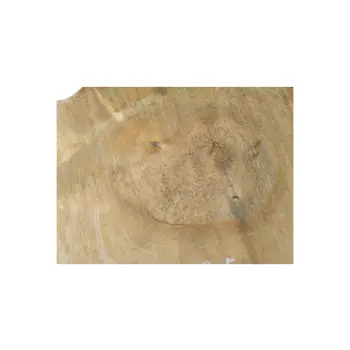 Plaster Kasztanowca 46x39x5cm