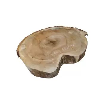 Plaster Kasztanowca 58x44x9cm