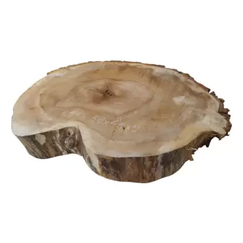 Plaster Kasztanowca 58x44x9cm