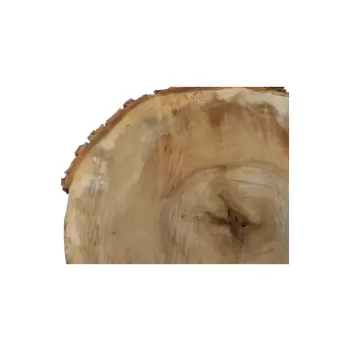 Plaster Kasztanowca 58x44x9cm