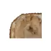 Plaster Kasztanowca 55x44x9cm