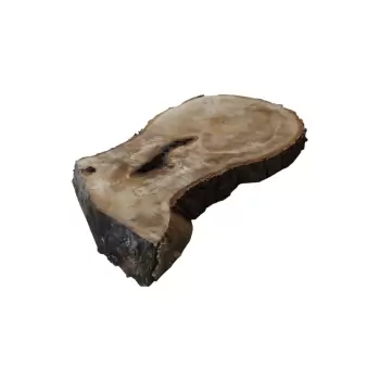 Plaster Kasztanowca 77x52x7cm