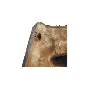 Plaster Kasztanowca 77x52x7cm