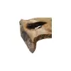Plaster Kasztanowca 70x52x6cm