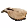 Plaster Kasztanowca 70x52x6cm