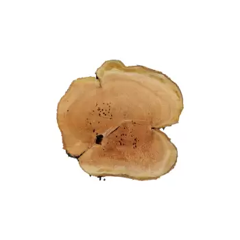 Plaster Czereśni 65x62x8cm