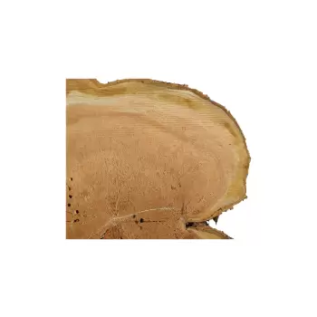 Plaster Czereśni 65x62x8cm