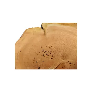 Plaster Czereśni 65x62x8cm