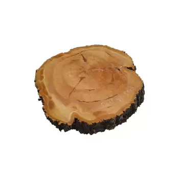 Plaster Czereśni 53x51x7cm