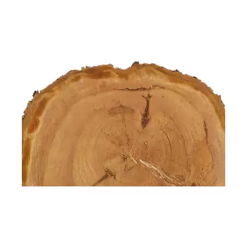 Plaster Czereśni 53x51x7cm