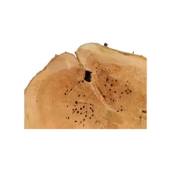 Plaster Czereśni 66x62x8,5cm