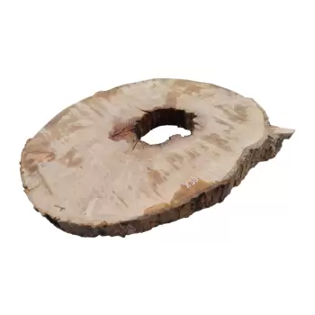 Plaster Jawora 88x76x8,5cm