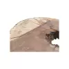 Plaster Jawora 88x75x9cm