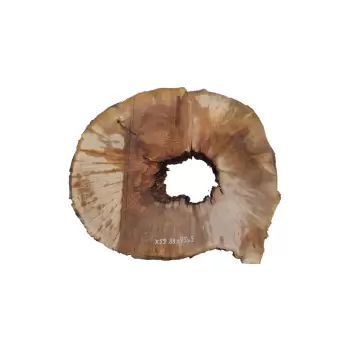 Plaster Jawora 88x75x9cm