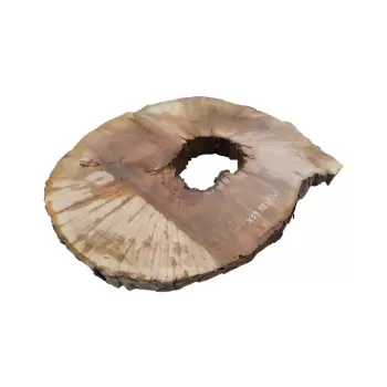 Plaster Jawora 88x75x9cm