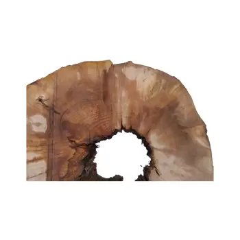 Plaster Jawora 88x75x9cm