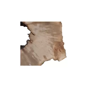 Plaster Jawora 88x75x9cm