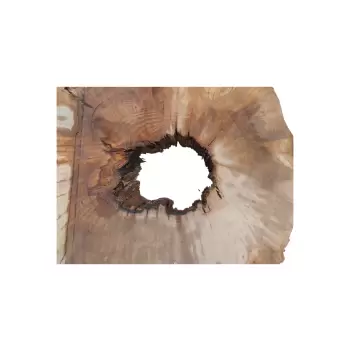 Plaster Jawora 88x75x9cm