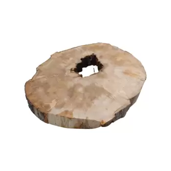 Plaster Jawora 85x75x10cm