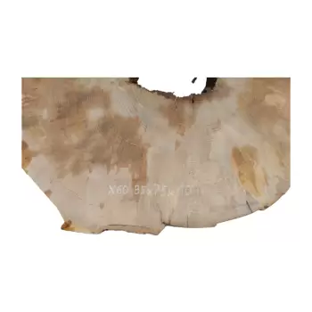 Plaster Jawora 85x75x10cm