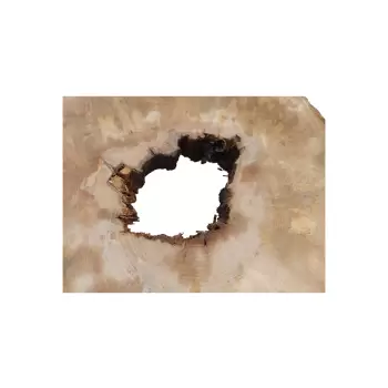 Plaster Jawora 85x75x10cm