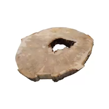 Plaster Jawora 85x75x10cm