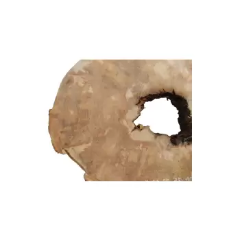 Plaster Jawora 85x75x10cm