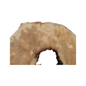 Plaster Jawora 85x75x10cm