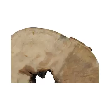 Plaster Jawora 89x75x10cm