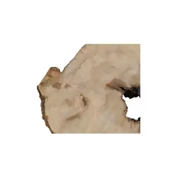 Plaster Jawora 89x75x10cm