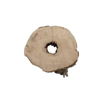 Plaster Jawora 80x72x10cm