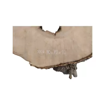 Plaster Jawora 80x72x10cm